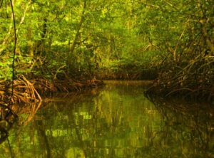 andaman_tour_packages_best_travel-agency-in_trivandrum