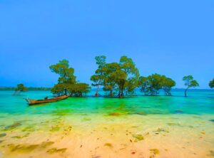 andaman_Tour_packages_best-travel-agency-in-trivandrum
