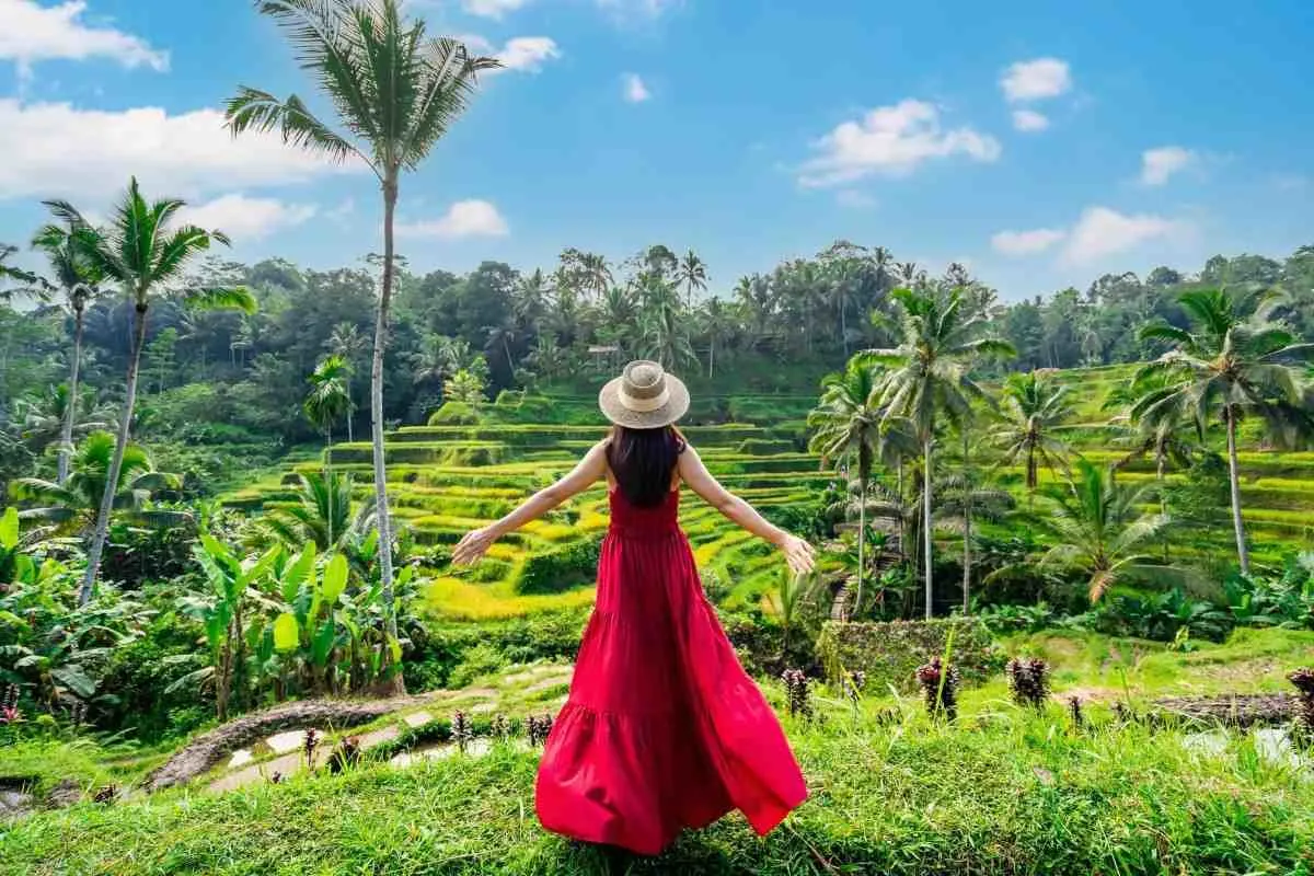 bali tour