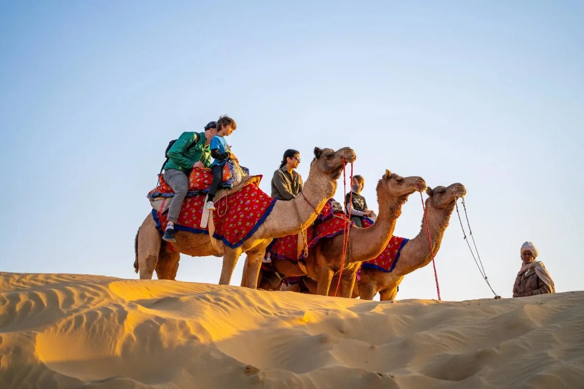 Camel ride Thar Desert sunset