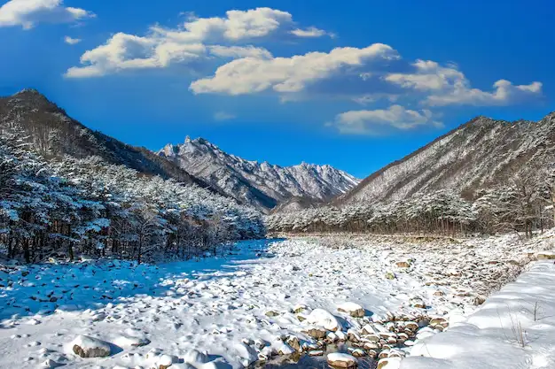 Pangong Lake Ladakh blue waters mountain landscape