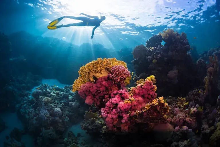 Snorkeling