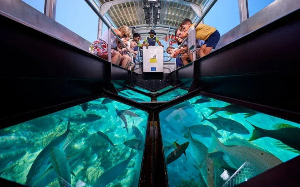 Glass bottom boat