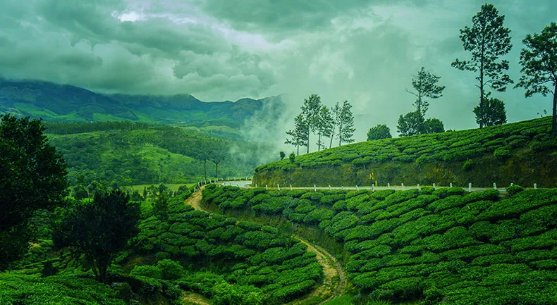 Munnar weekend package