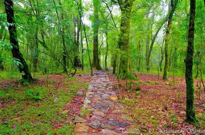 Shillong hills