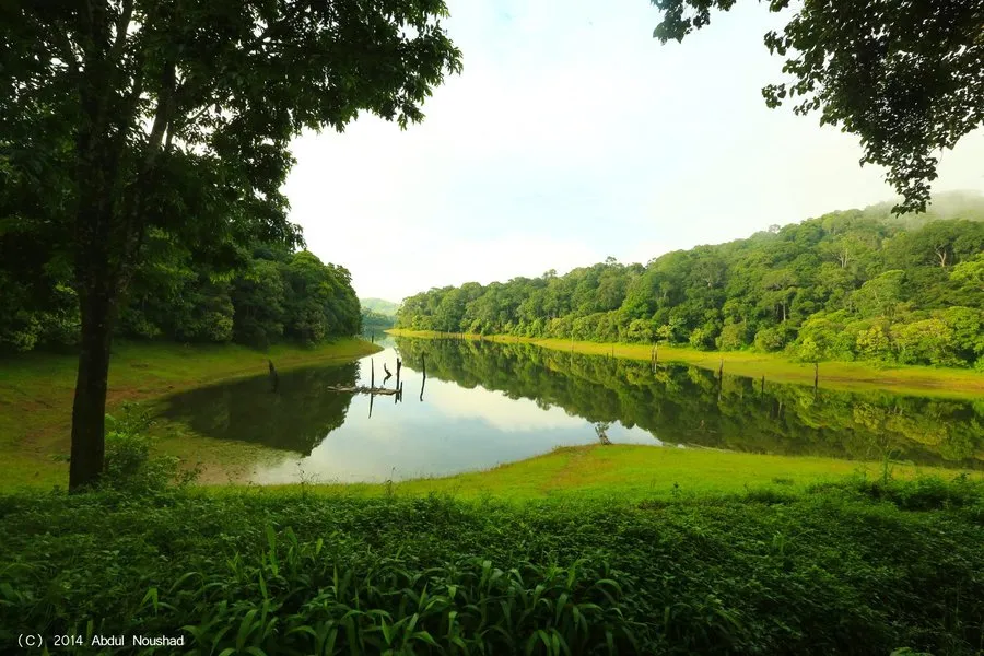 Thekkady weekend package