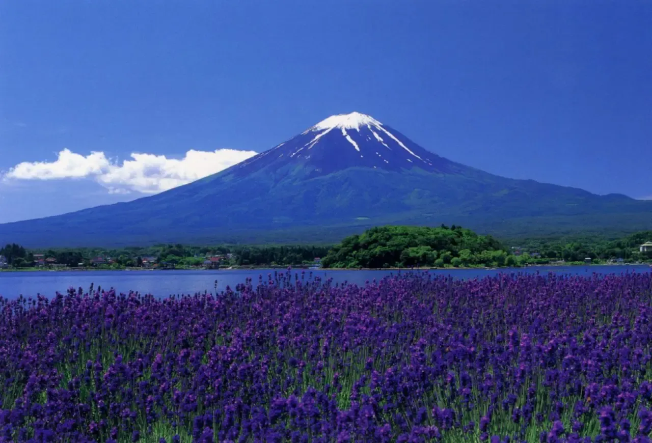 Mt. Fuji reflection