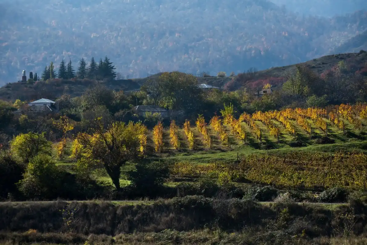 Areni Wine Country