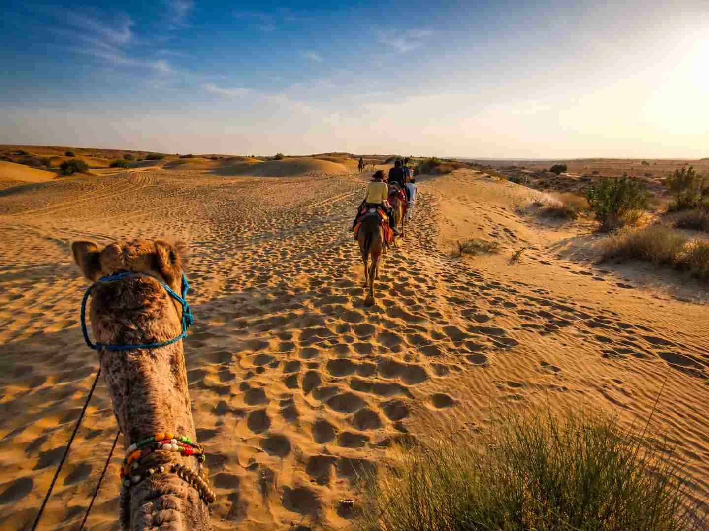 Camel ride Thar Desert
